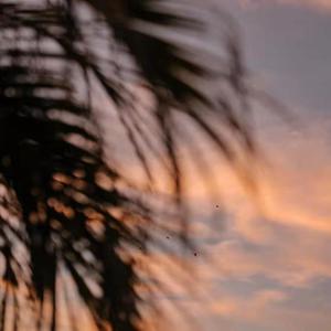 ❌❌❌到高潮nxgx
