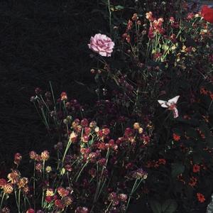 ❌❌❌到高潮nxgx
