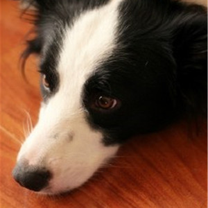 ❌❌❌到高潮nxgx
