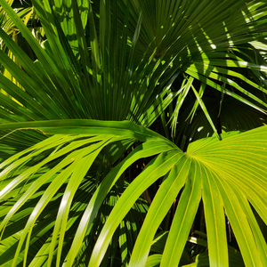 ❌❌❌到高潮nxgx
